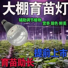 种植大棚蔬菜瓜果全光谱植物生长补光灯草莓葡萄樱桃多肉上色花卉