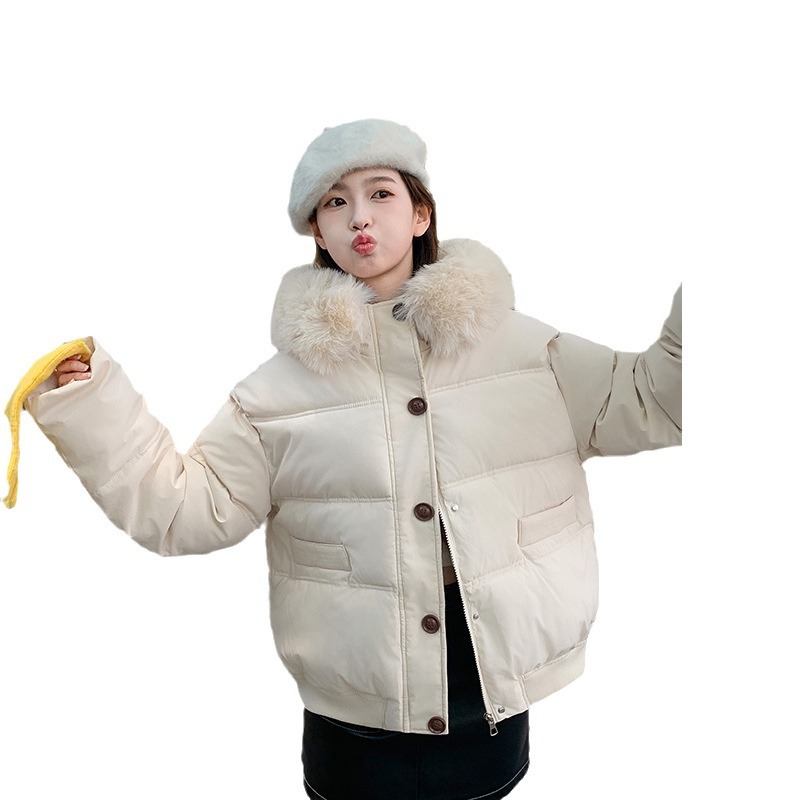 Invierno nuevo 2024 Corea del Sur Dongdaemun ropa de algodón de cuello grande mujer corto suelto ocio grueso chaqueta pequeña image 5