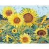 BO-02 Cartoon Round Diamond Drilling [Drawing Core Size 25x35cm]
