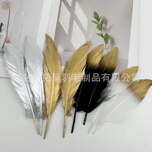 �Zë���h15-20��ɫ��ë����ɫ��ë�羳�����S�ҬF؛���l�yɫdiy