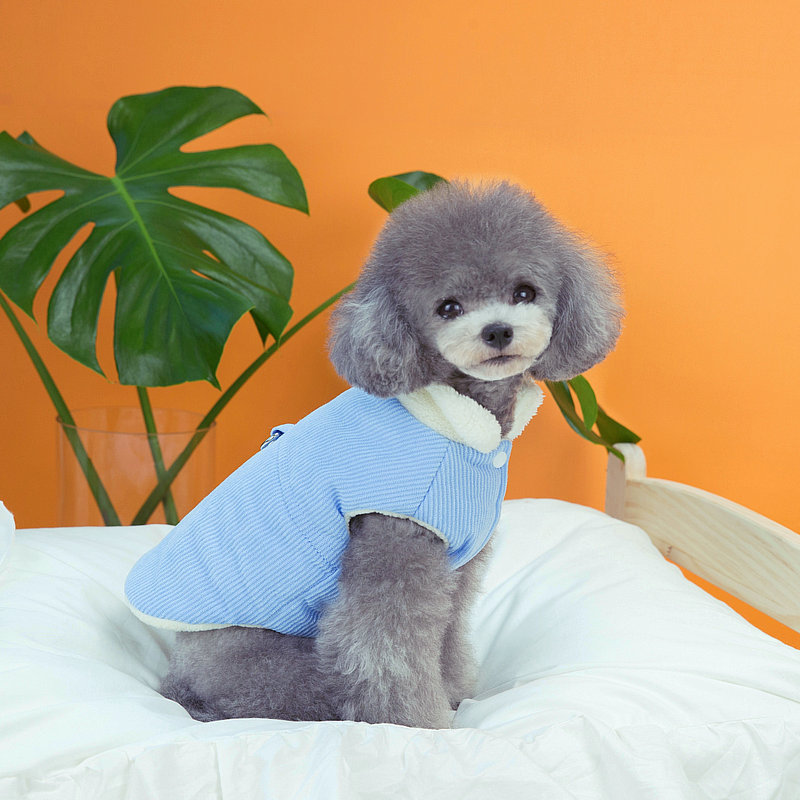 Dog Vest Detail