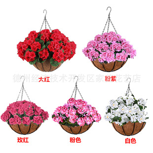 �羳���R�d���溣�����ÿ� ���ļ��@ˇ�F��Ҭ�ص��@�Ғ�����b�