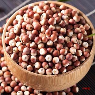 �����]�����rҰ�����K���͌� �tƤ�͌� �u�^���͌���؛���]