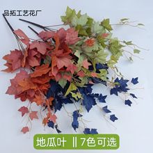 ع~^{~Yò廨ҾӾƵbٻQc