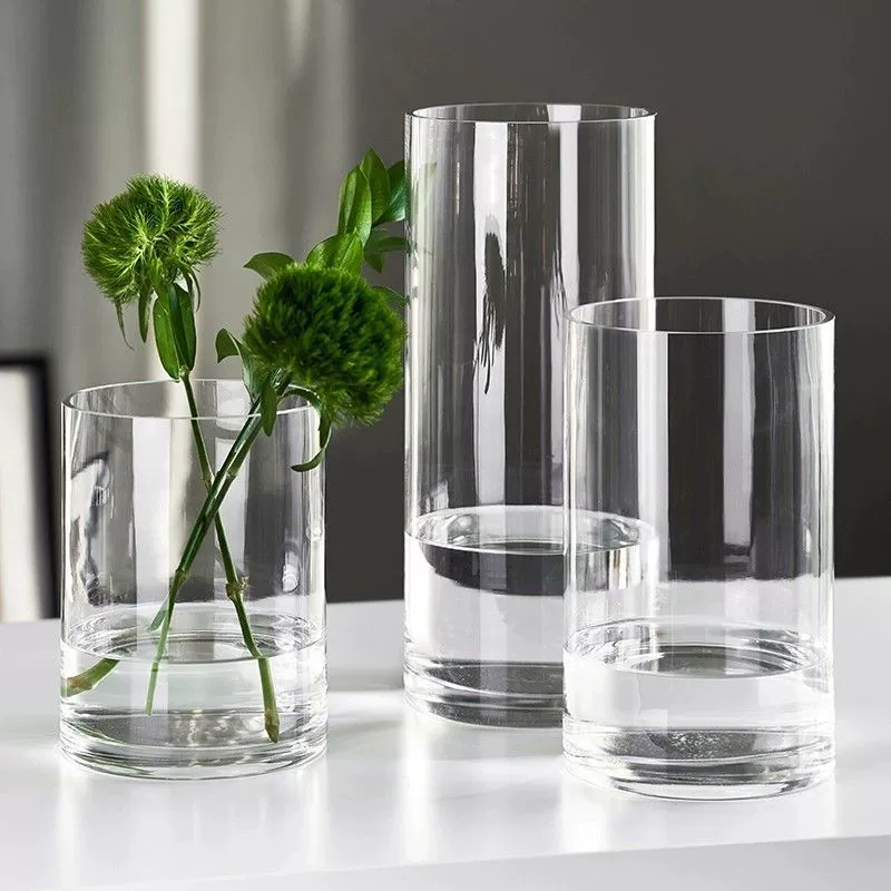 Зеленое растение, стеклянная ваза, цветочный орнамент для гостиной, цветок снежной ивы, прозрачный конский дерева, водный культивированный бамбук, простая цельная оптовая продажа.