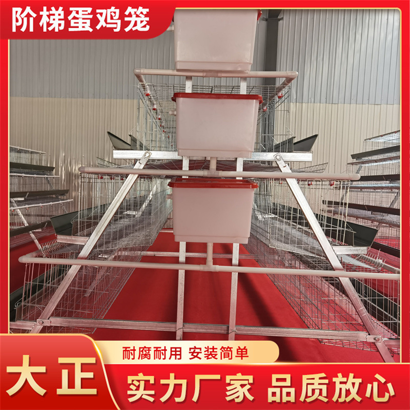 Jaula de huevas escalonada de gallinas ponedoras de tres capas de cuatro puertas tipo escalonado aparato de cría automática de gallinas