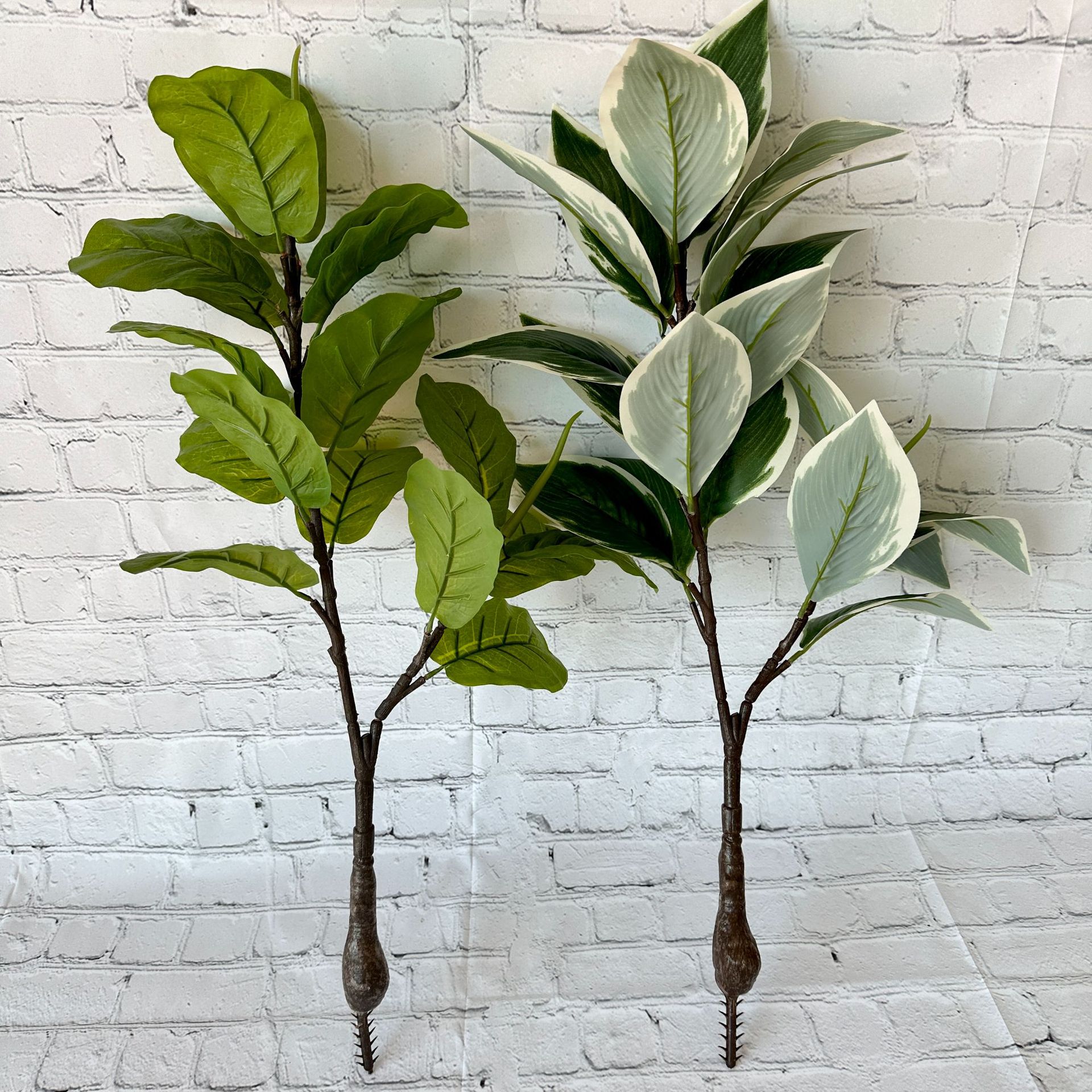 手感丝印布仿真绿植白边芋树琴叶榕树盆景家居造景装饰植物摆件