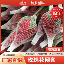 ��ƽ�Ӷ����ϏS����õ�廨�W�� �r�����o�W�� ���ϾW�����l
