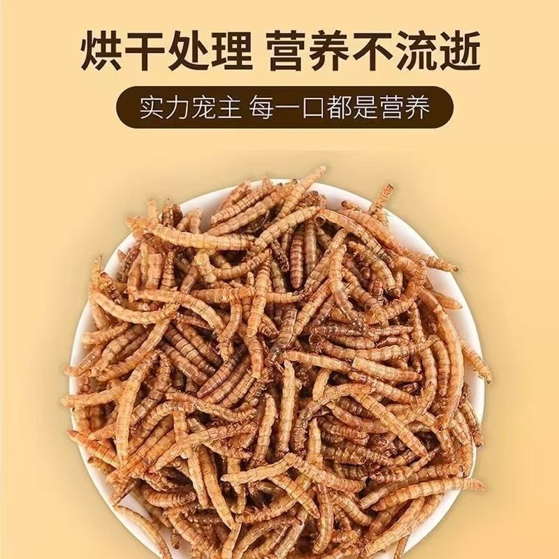 小さなハムスターの餌、ミルワーム、乾燥ゴールデンベア、ハリネズミ、イエローパウダースナック、主食、飼料、特別な栄養価の高い食品|undefined