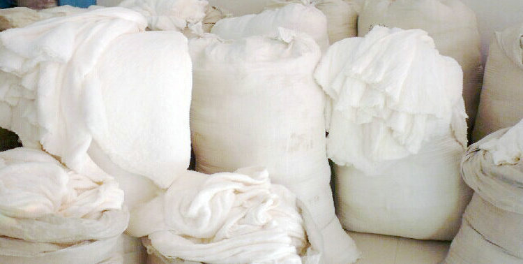 3341393511_1213082133