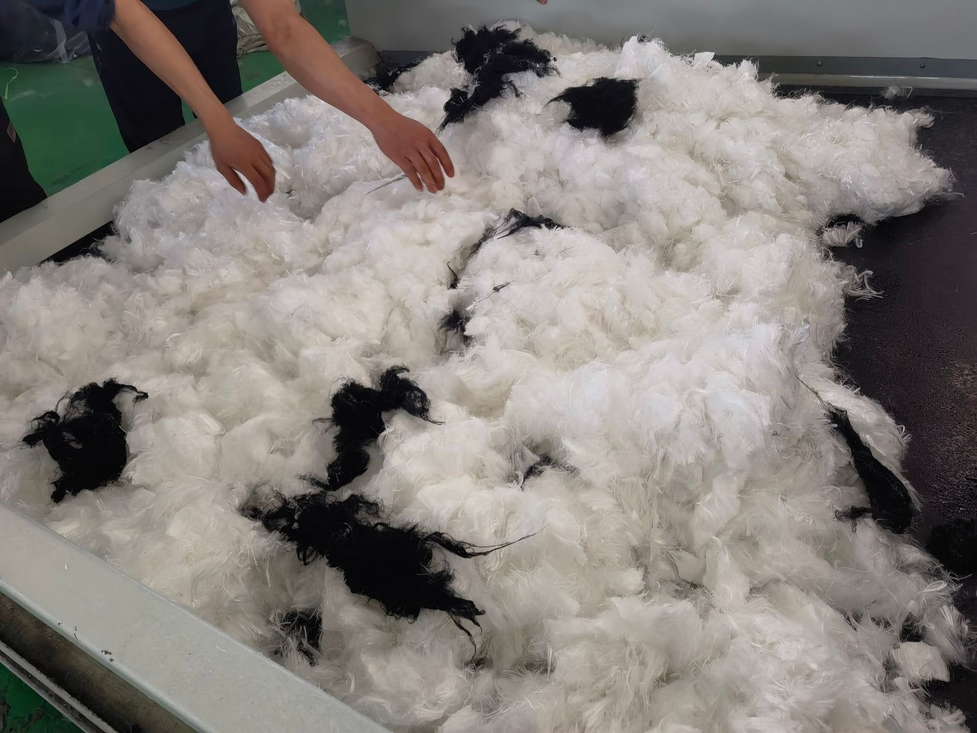 d184dc9cfb07ca1f40b5112a8c7225