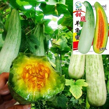 �����������ϷN�� �����ļ������ˮ���� ����Ƥ���ִ��̨����