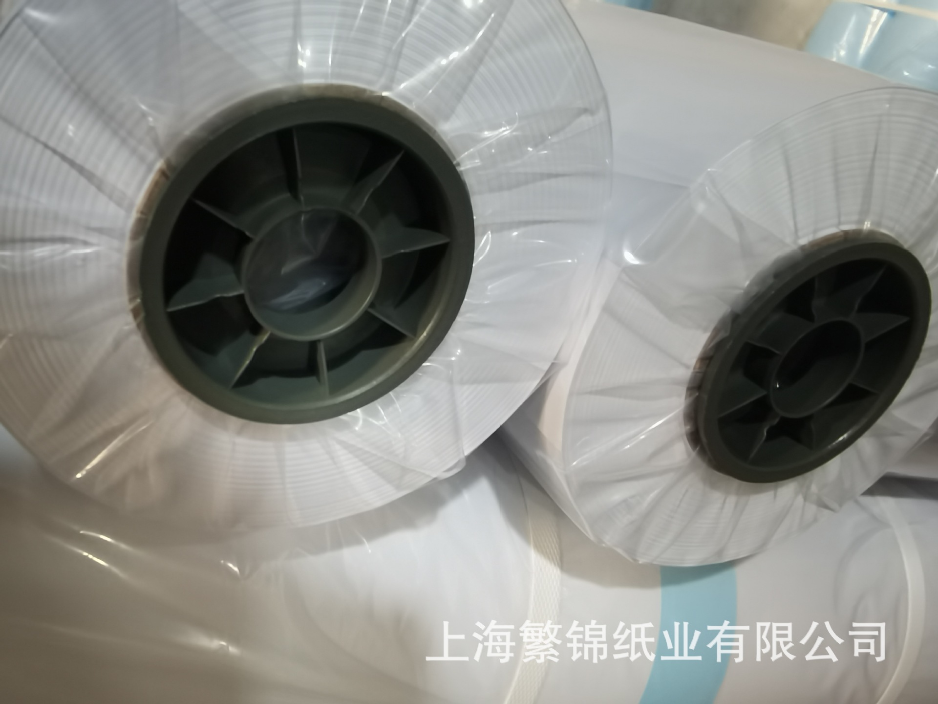 白40