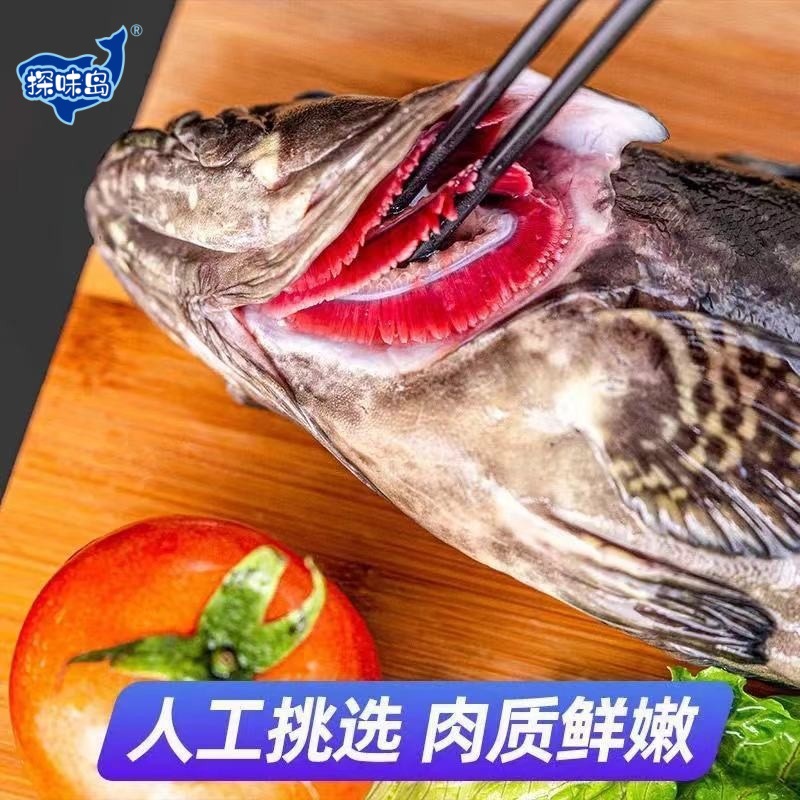 【顺丰包邮】福建东山岛石斑鱼鲜活冷冻老虎斑龙胆大龙趸海鲜水产