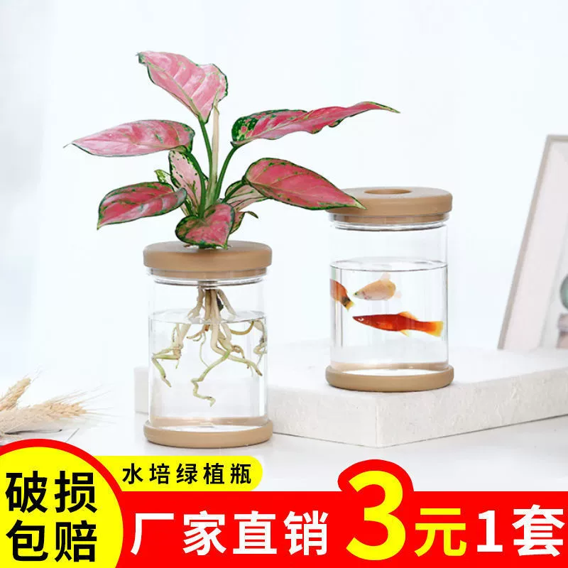 Гидропонный цветочный горшок из пластиковой бутылки для офисного стола в скандинавском стиле, прозрачная ваза для водной культуры плюща