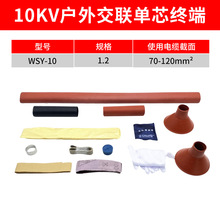 s|10KVоsK^WSY-10/1.2(m70-120ƽ