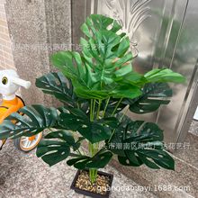 �羳�������ֲ�������~���l�Gֲ�����������Q�Ҿ��b��쾰����