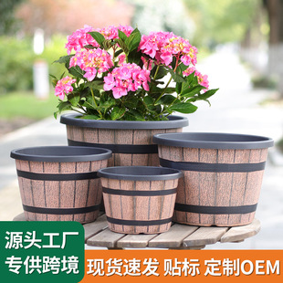 �Ӻ����Ϸ�ľͰ�͹Ż���@ˇ�����B������A�δ������ֲ�ﻨ��