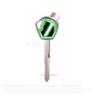 Motorcycle Key, embryo/handle scooter magnet DIO - left-green