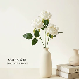 仿真绿植;仿真花;仿真藤条