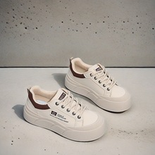 2025ŮinsСЬŮЬWٴeЬ\ЬGT8803