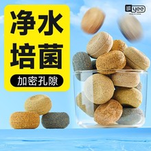 yee~^V{ʯӢˮմɭhVĿ羳