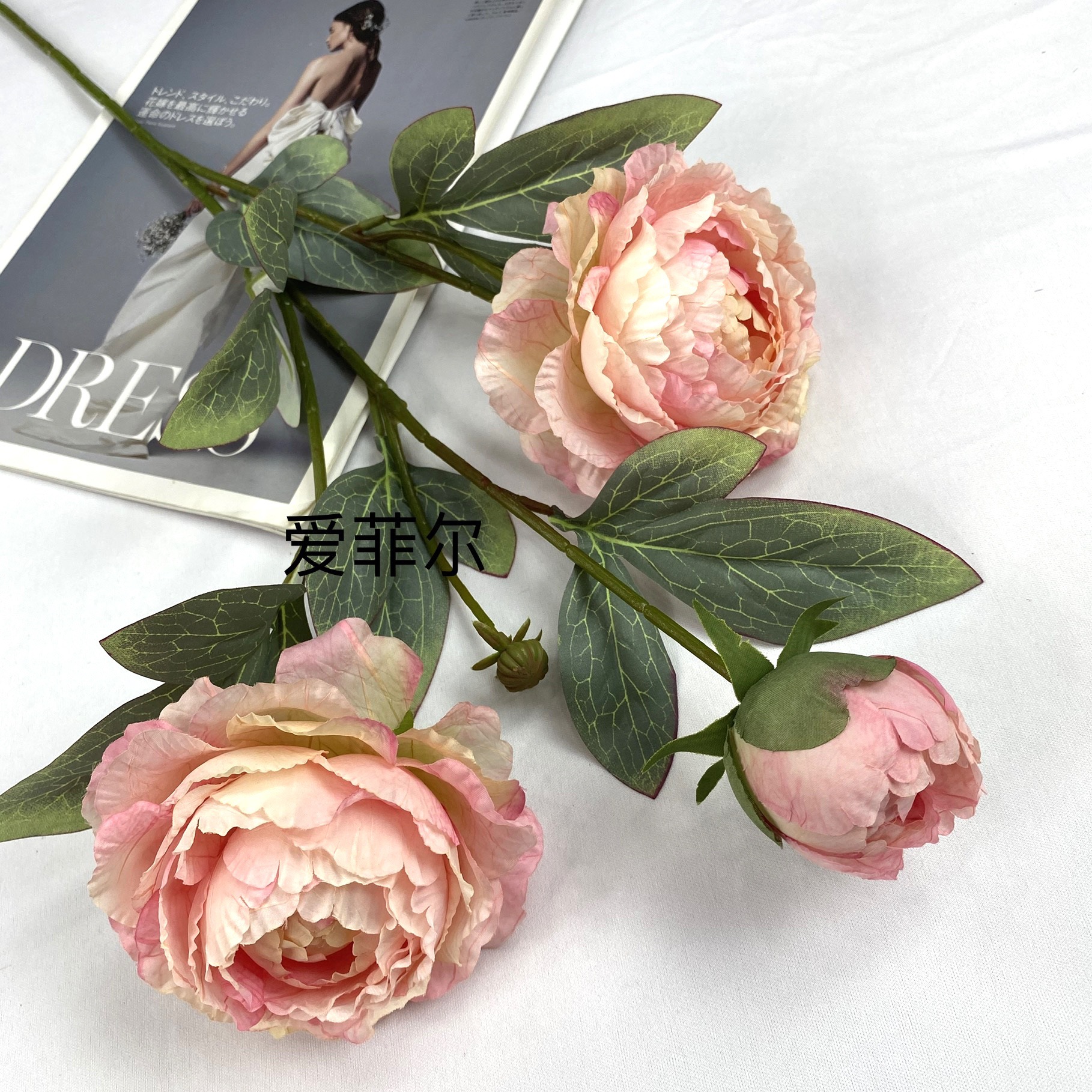 82f4736f1d46fc0deff7b1654ceed3