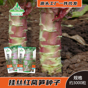 ��z�t�n�S�N���Ĵ��t���~�n�ķN�Ѵ����n�Ĳ˷N���Ѵ����ļ��˷N