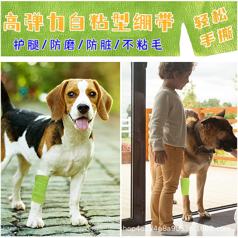 犬が外出して汚れを防ぐ包帯ペットが怪我をしてレギンスを包んでいます。|undefined