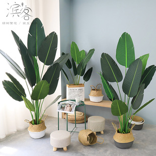 �羳���������ֲ����ؾGֲ�[�������˽����辰�͏d�����b����l
