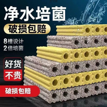 ݞVD^V~^VVăմɭhˮ|l