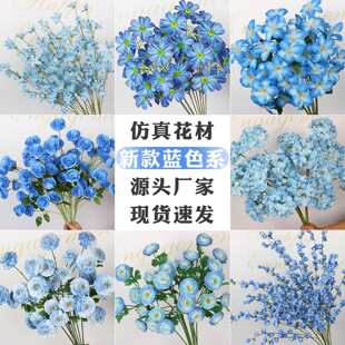 ��c�b����{ɫϵ��ˇ�軨�̈��ӷ��滨��Y�廨·�������{�˹�