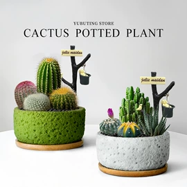 仿真花;其他装饰摆件;医具玩具