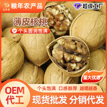 批发纸皮核桃新货500克袋装坚果炒货休闲零食特产薄壳原味生核桃