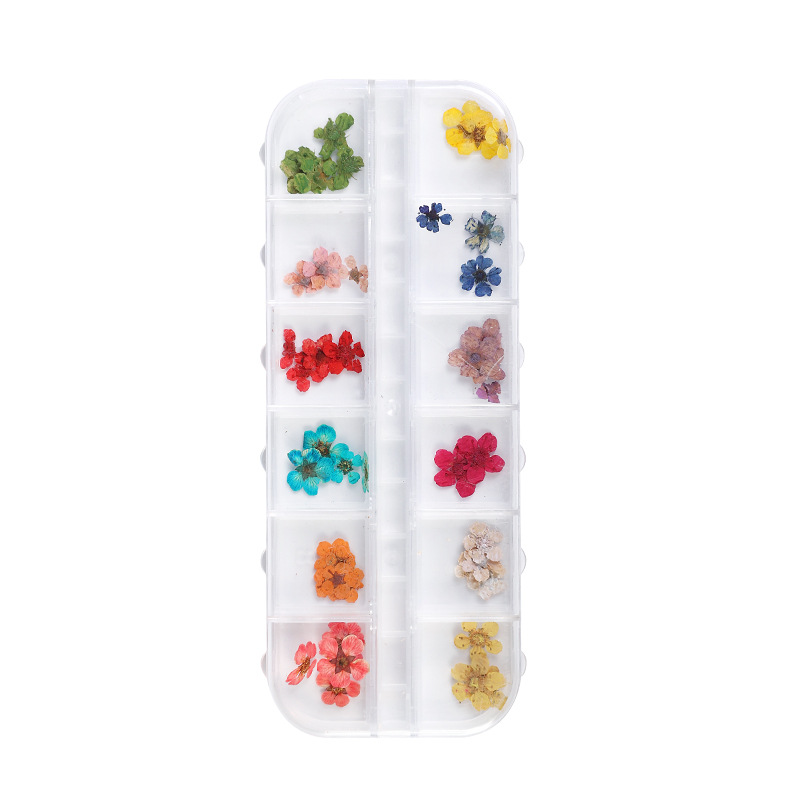 12 cajas de flores secas de manicura set de decoración de uñas pétalos de color decoración de uñas DIY adherencia pegatinas al por mayor