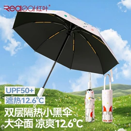 晴雨伞;遮阳/太阳伞;雨伞