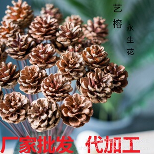 �ɹ��ɻ��}�Q�b�Ʒ�������[���Ĕz���߸ɻ������ֹ�DIY����