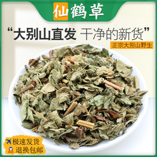 大别山仙鹤草中药材正品龙芽草脱力草狼牙草非野生龙牙草新鲜泡茶