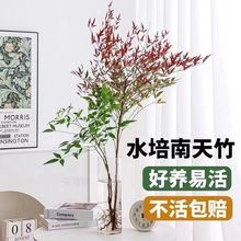 ˮ҃ȺBֲRRľƽGֲܛbGr֦