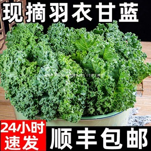 ���¸��{���r�߲�ʳ����S���]ե֭��Ƭ�����pʳ����ɳ���߲˱���