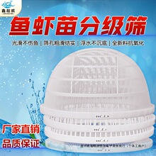 �γ��������~�Y���q�Y���~�S���~���r���O�߷ּ��~��ִ�С�֒��Y