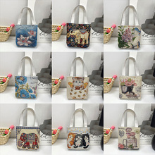 �����LŮ���δ���̽�С����������μ緫�����ļ��W����