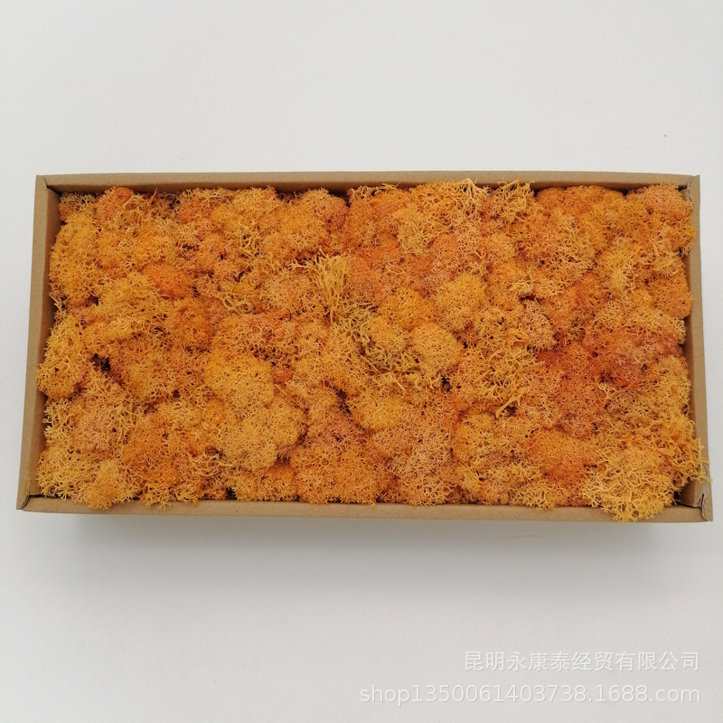 Musgo al por mayor de musgo peso neto 200g caja de regalo flores de musgo eternas accesorios para el hogar tiro ventas directas de la fábrica