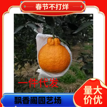 ï�ȸ̘����ϱ���ͥԺ���Ը����玧�����Լ޽ӽ��Ә���箔��Y��