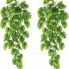 �羳�����ٗl�����~�ڒ�Gֲ����������Gֲ�����҃Ȼ��@ͥԺ�b�
