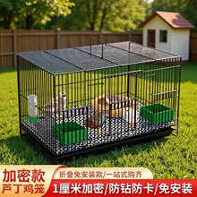 �����J���u���û\�҃ȼ��ô�̖�g���\� ����\С�S���r�u�\���]