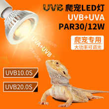 LED爬虫灯UVAUVB补钙灯爬宠晒背灯紫外线太阳灯鬃狮蜥蜴陆龟par30