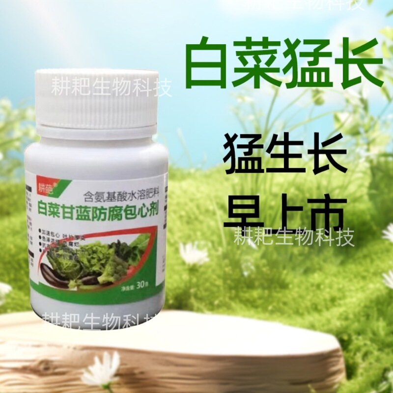 Specialized Medicine for Cabbage: Complete Treatment for Cabbage Diseases, Including Root Rot, Yellow Leaf Rot, Soft Rot, and Gray Mold Specialized Medicine for Cabbage: Complete Treatment for Cabbage Diseases, Including Root Rot, Yellow Leaf Rot, Soft Rot, and Gray Mold