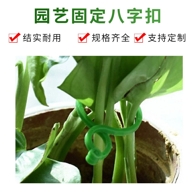 Садовая восьмерка пряжка банта пряжка тыква большая восьмерка растительная связка стяжка бандажная фляжная зажим для роста цветов