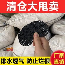 �|Ƭ����|Ƭ�W�׉|Ƭ����|��͸����ˮ��׻���׿׷�©���|�WƬ